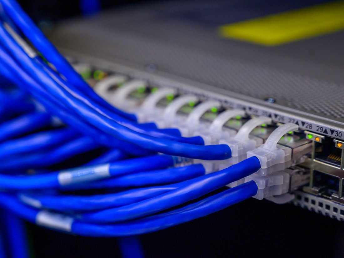 Bir network switch'e bağlı mavi ethernet kabloları